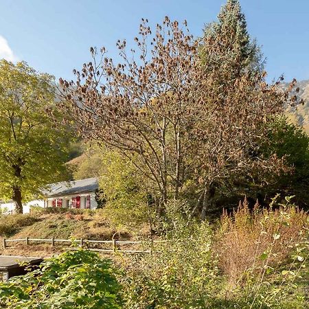 Comfortable Farm House Petit Barzun, In The Parc National Pyrenees Barèges Extérieur photo